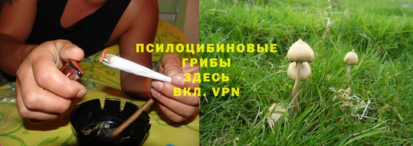 стаф Абдулино