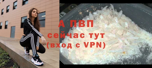 амф Новозыбков